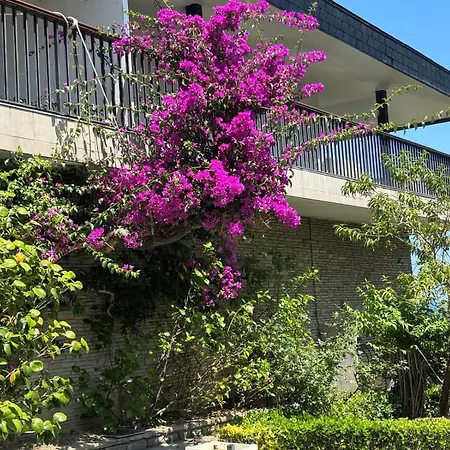 Hotel Arresi 2*